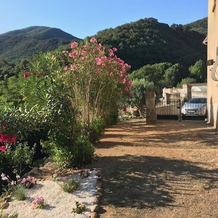 Bel Appartement Type F3 Amélie-les-Bains-Palalda Buitenkant foto