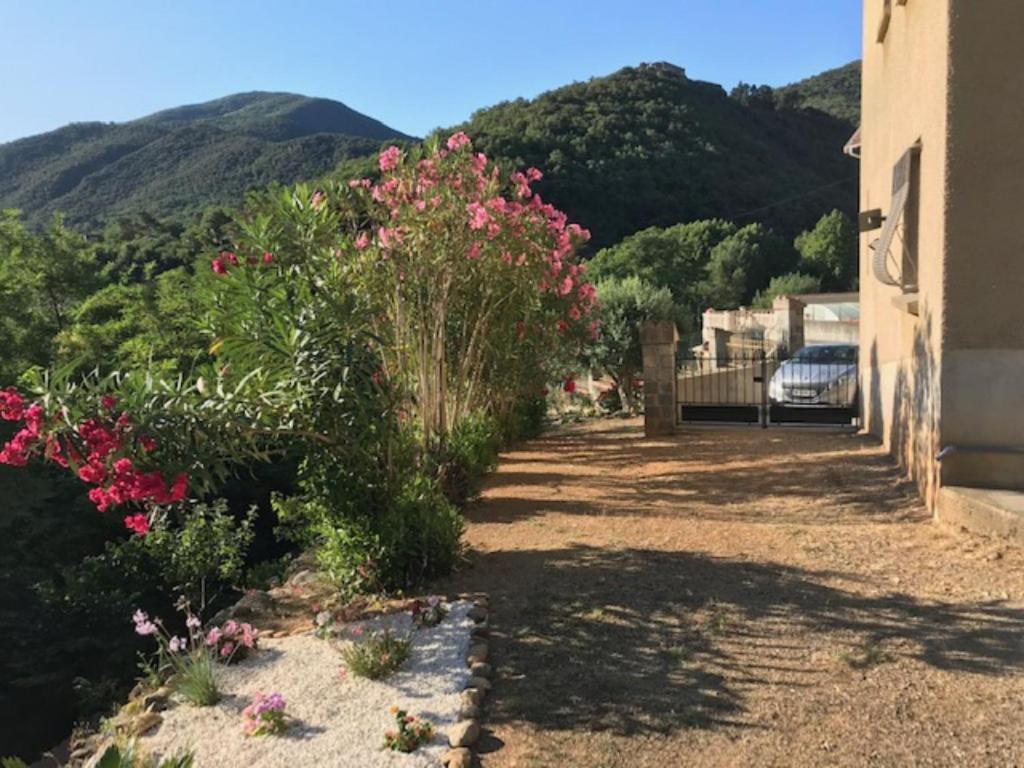 Bel Appartement Type F3 Amélie-les-Bains-Palalda Buitenkant foto